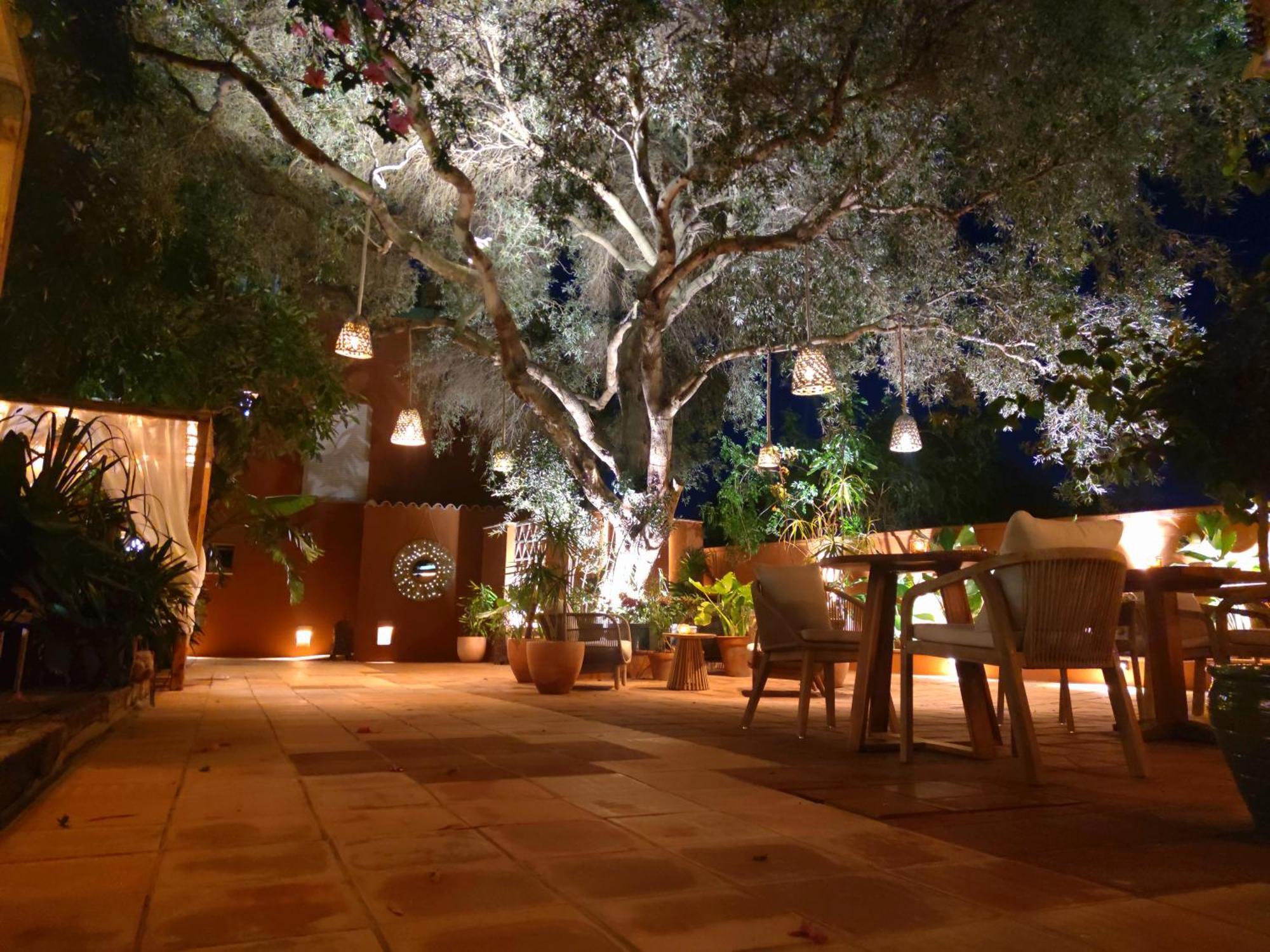 Hotel La Posada De Lola - Adults Only à Bolonia Extérieur photo